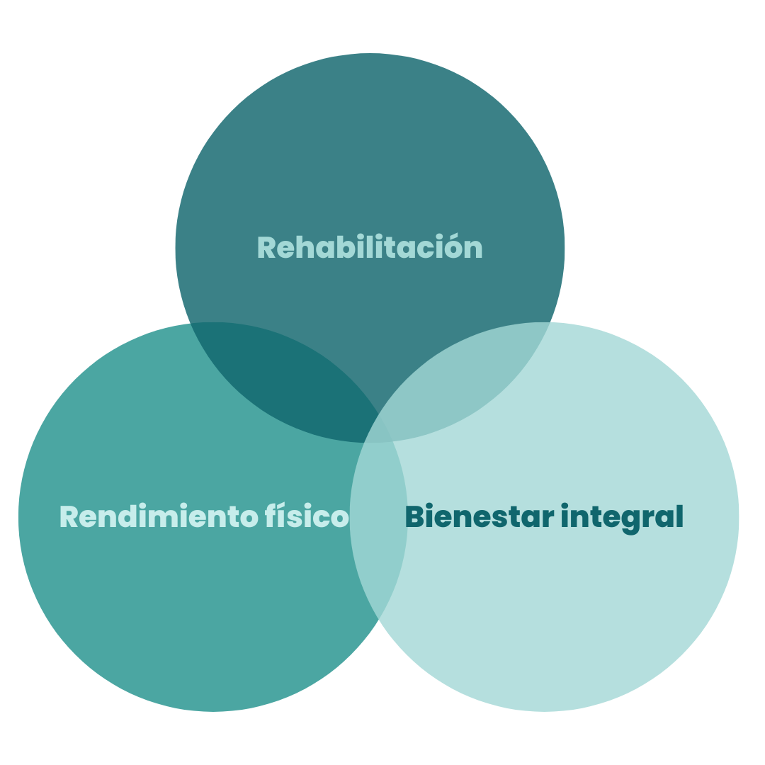 rehabilitación